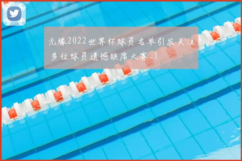 无缘2022世界杯球员名单引发关注 多位球员遗憾缺席大赛_1