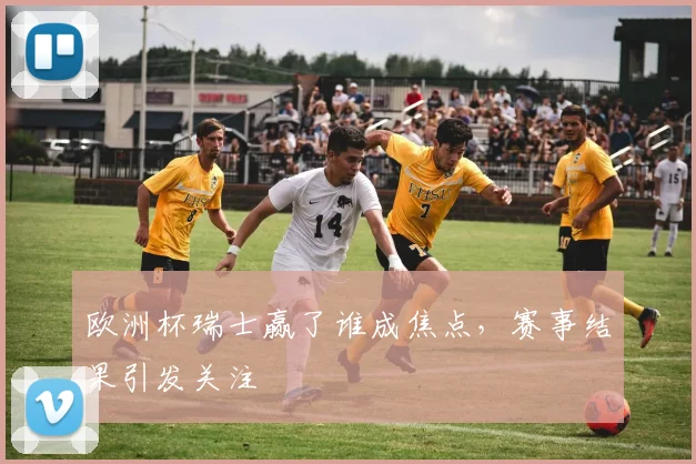 欧洲杯瑞士赢了谁成焦点,赛事结果引发关注