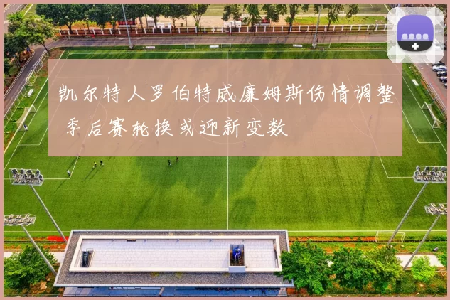 凯尔特人罗伯特威廉姆斯伤情调整 季后赛轮换或迎新变数