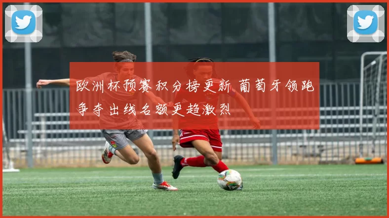 欧洲杯预赛积分榜更新 葡萄牙领跑争夺出线名额更趋激烈