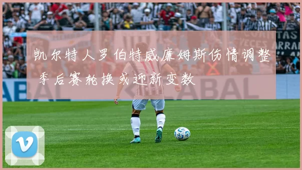 凯尔特人罗伯特威廉姆斯伤情调整 季后赛轮换或迎新变数