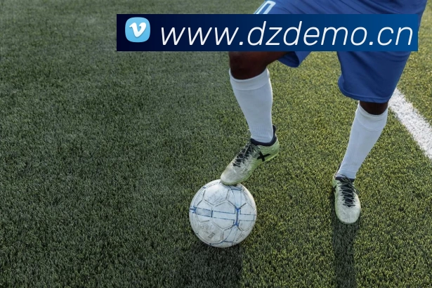 开云网页版登录入口 - 开云中国APP 封面图